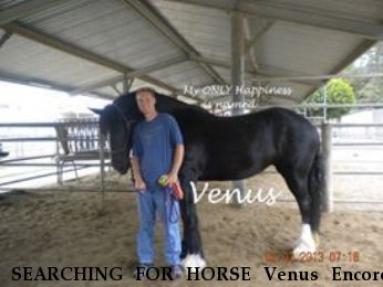 SEARCHING FOR HORSE Venus Encore, $2000.00 REWARD  Near Norco, CA, 92860